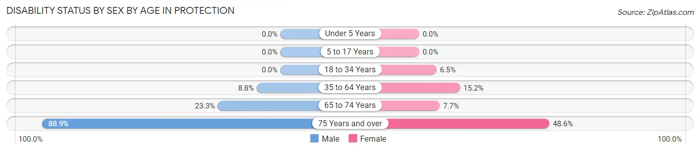 Disability Status by Sex by Age in Protection