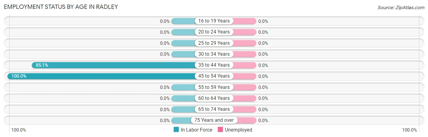 Employment Status by Age in Radley
