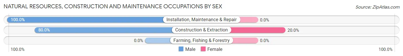 Natural Resources, Construction and Maintenance Occupations by Sex in Ramona