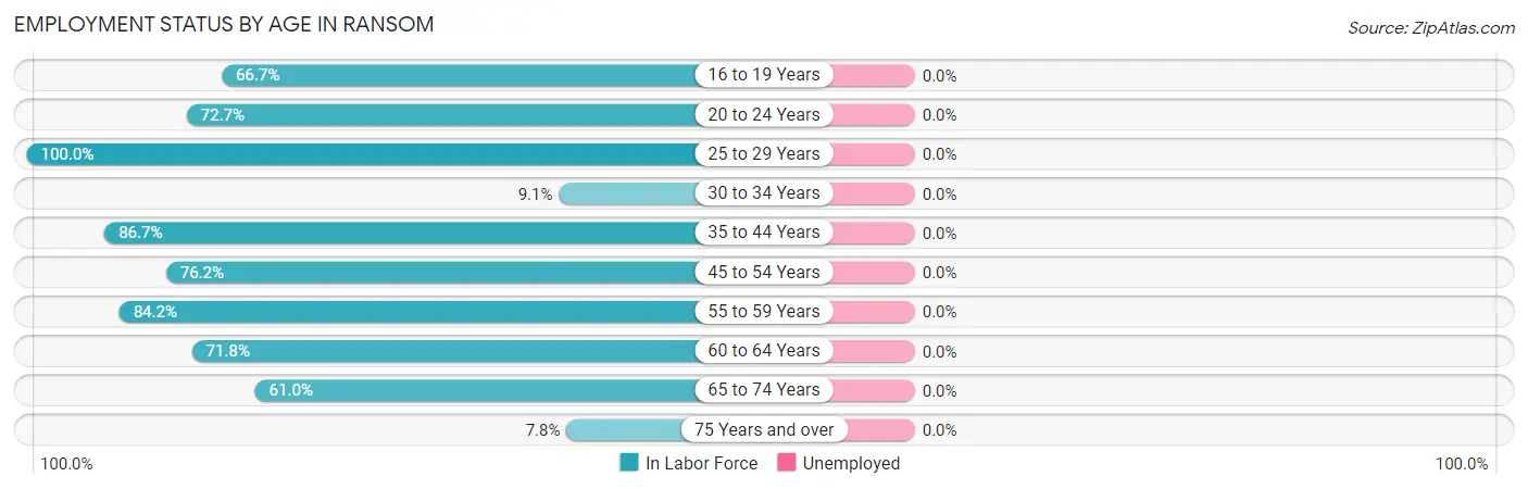 Employment Status by Age in Ransom