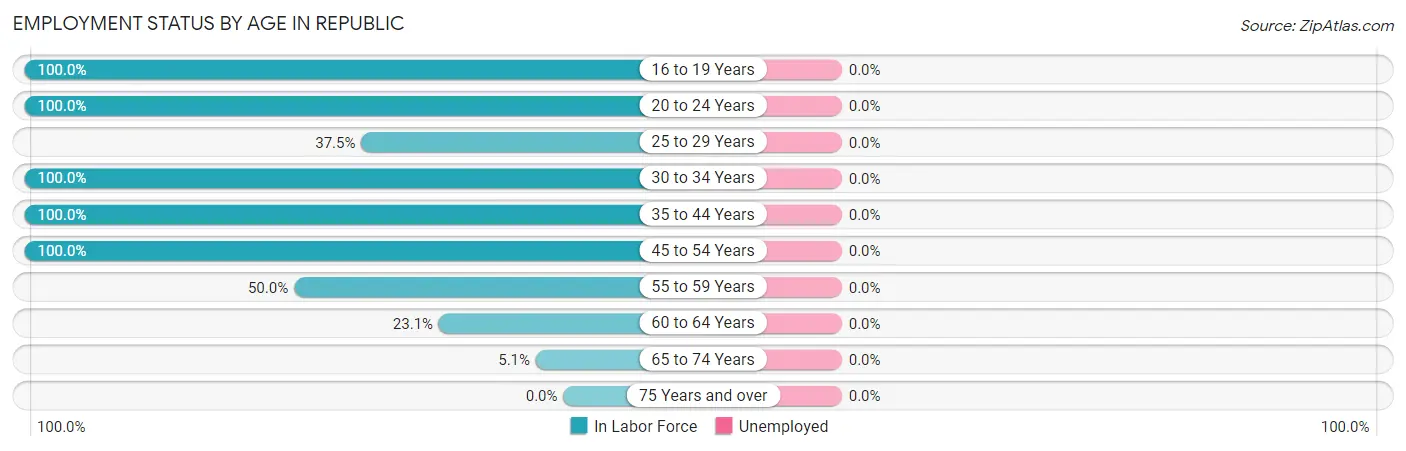 Employment Status by Age in Republic