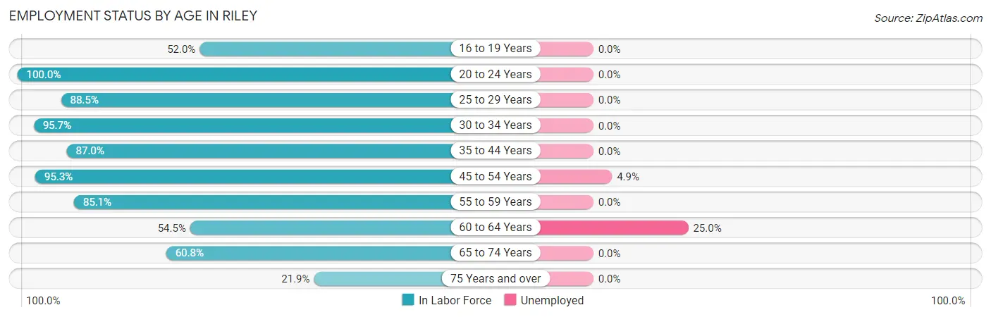 Employment Status by Age in Riley