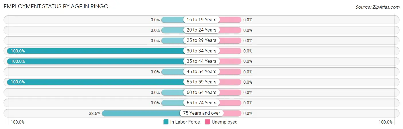 Employment Status by Age in Ringo
