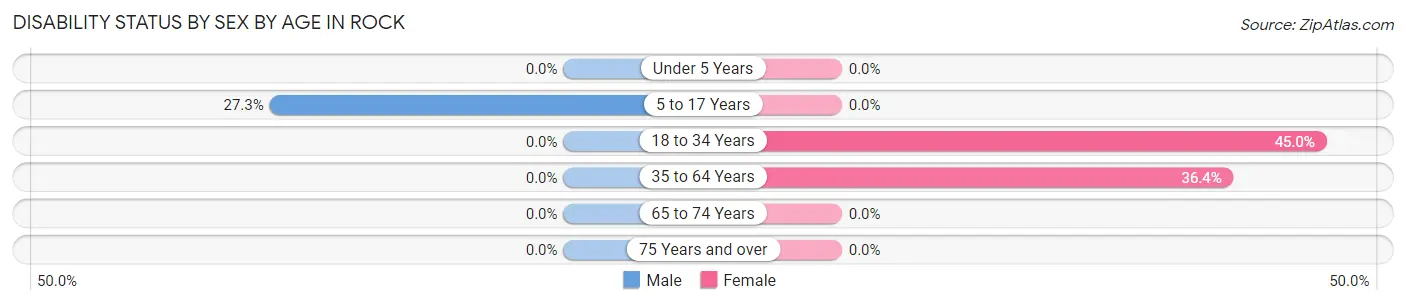Disability Status by Sex by Age in Rock