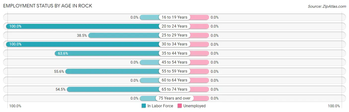 Employment Status by Age in Rock