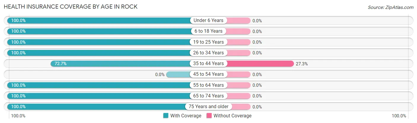 Health Insurance Coverage by Age in Rock