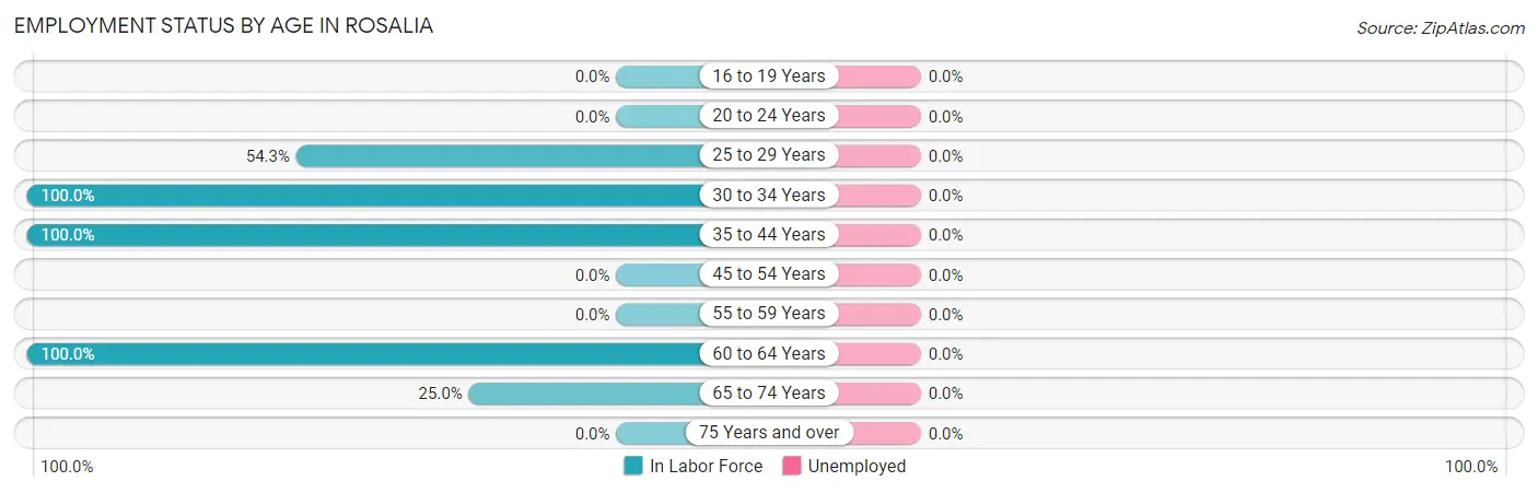 Employment Status by Age in Rosalia