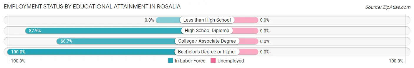 Employment Status by Educational Attainment in Rosalia