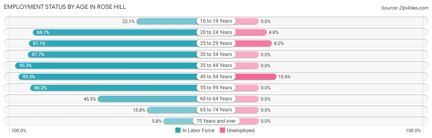 Employment Status by Age in Rose Hill