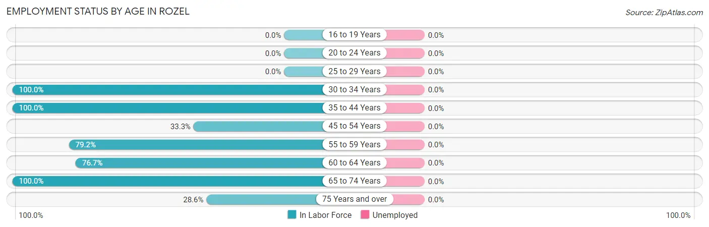 Employment Status by Age in Rozel