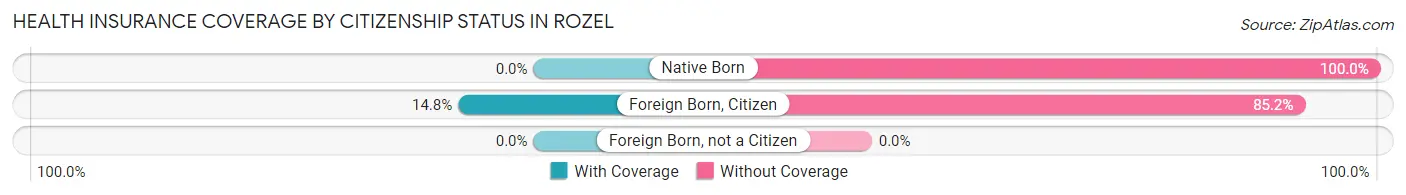Health Insurance Coverage by Citizenship Status in Rozel
