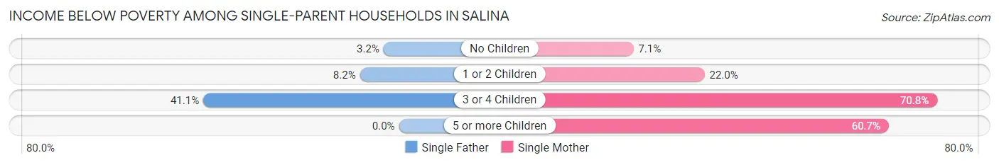 Income Below Poverty Among Single-Parent Households in Salina