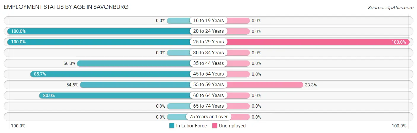 Employment Status by Age in Savonburg