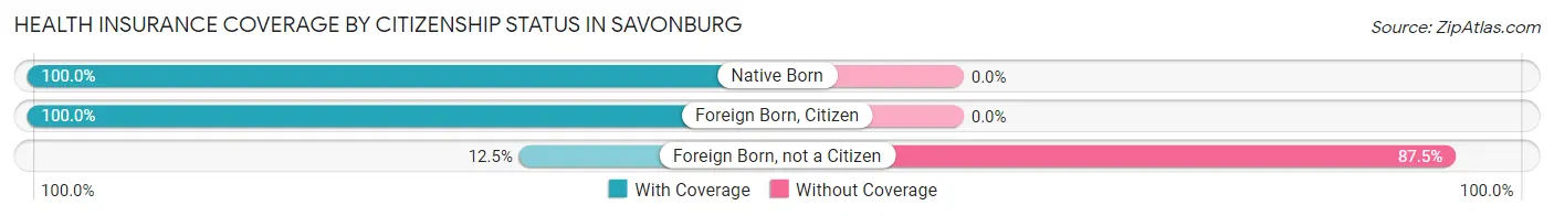 Health Insurance Coverage by Citizenship Status in Savonburg