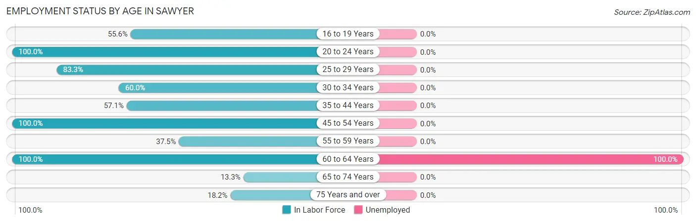 Employment Status by Age in Sawyer