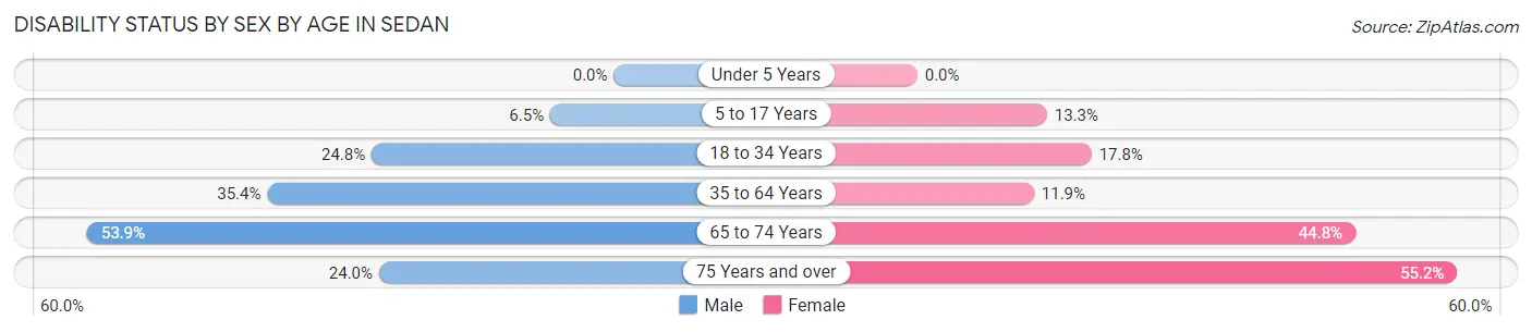 Disability Status by Sex by Age in Sedan