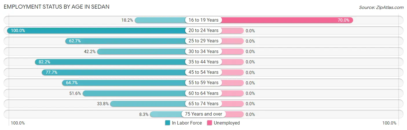 Employment Status by Age in Sedan