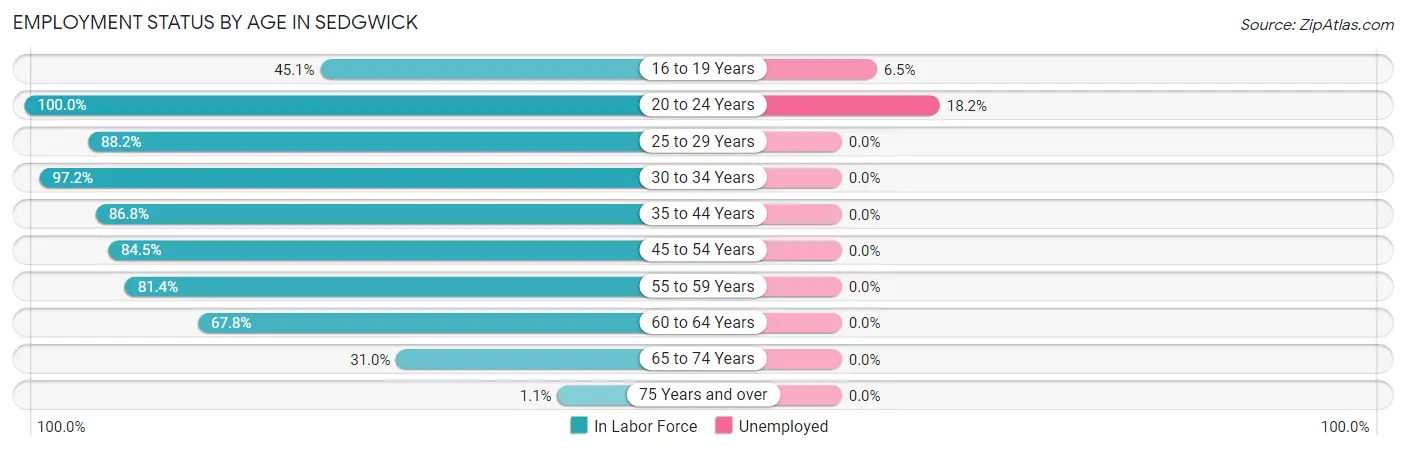 Employment Status by Age in Sedgwick