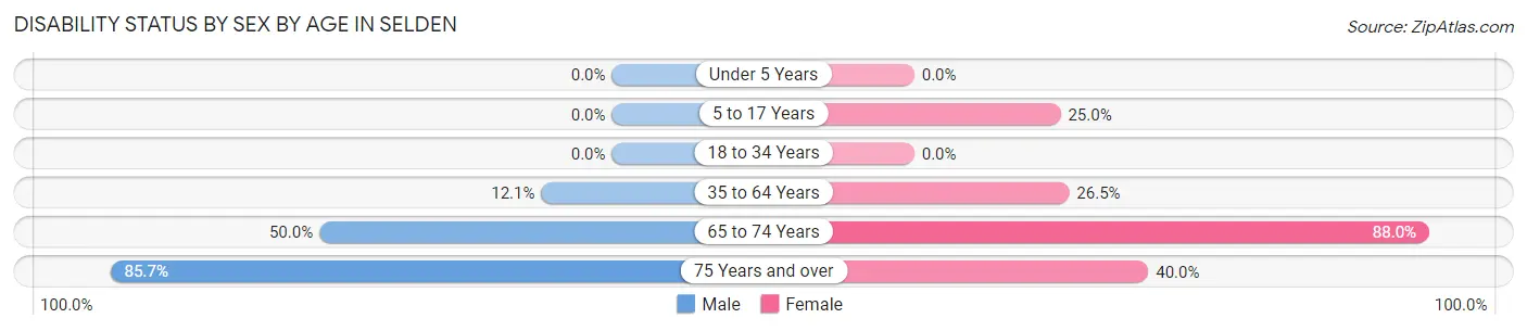 Disability Status by Sex by Age in Selden