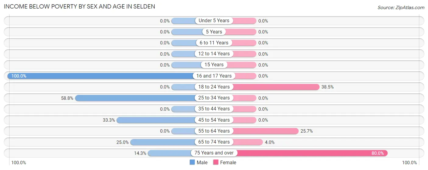 Income Below Poverty by Sex and Age in Selden