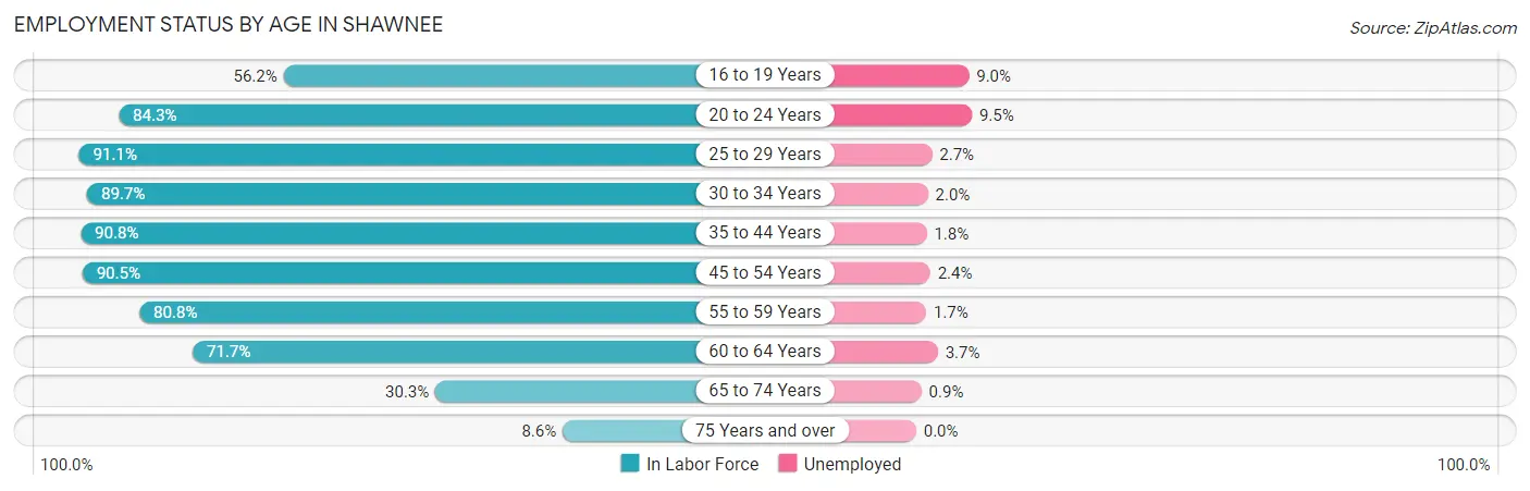 Employment Status by Age in Shawnee