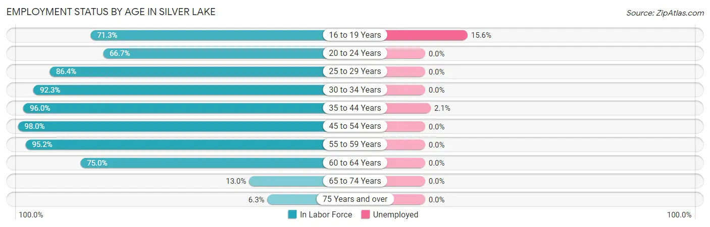 Employment Status by Age in Silver Lake
