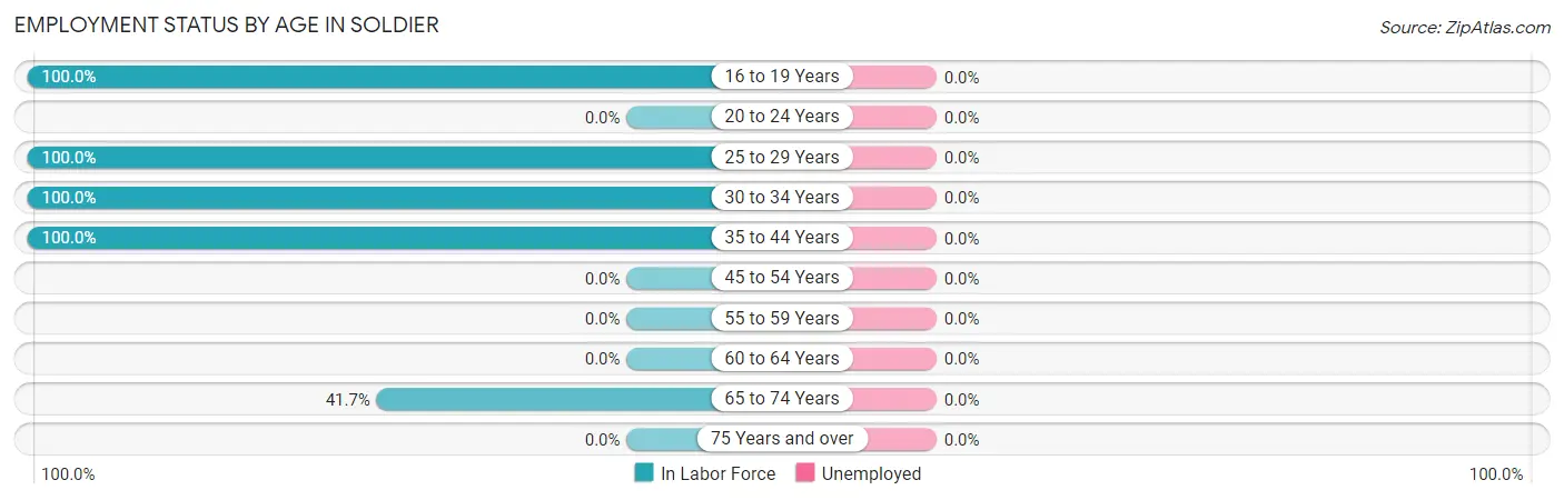 Employment Status by Age in Soldier
