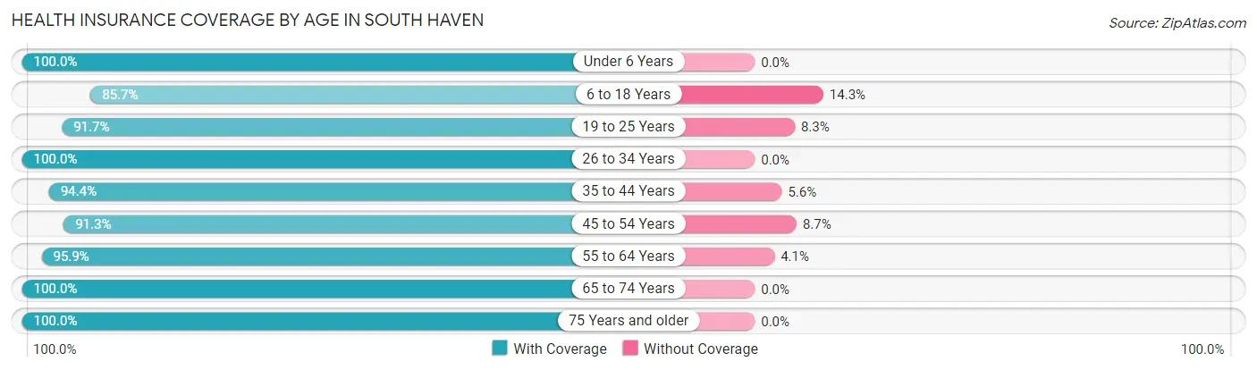 Health Insurance Coverage by Age in South Haven