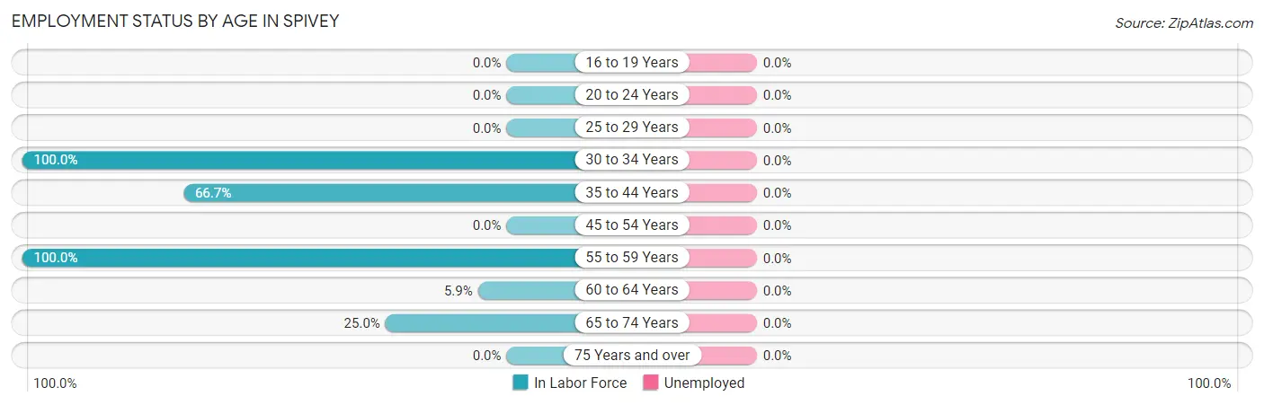 Employment Status by Age in Spivey
