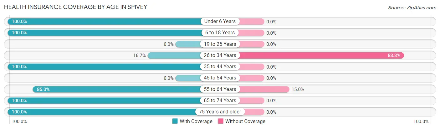 Health Insurance Coverage by Age in Spivey