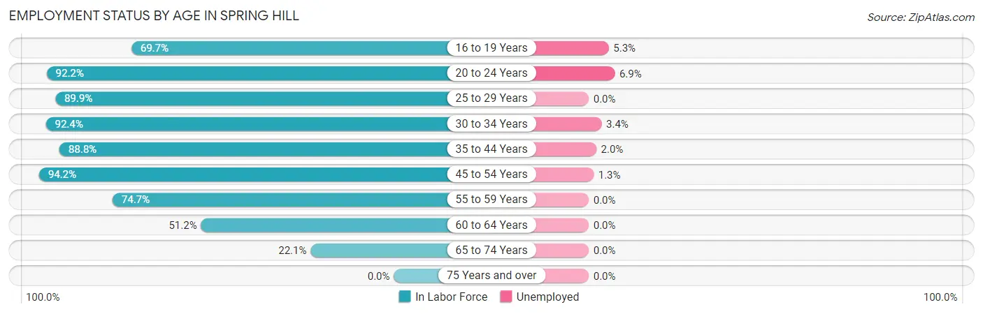 Employment Status by Age in Spring Hill