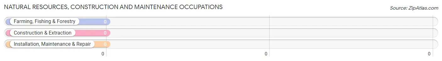 Natural Resources, Construction and Maintenance Occupations in St. Benedict