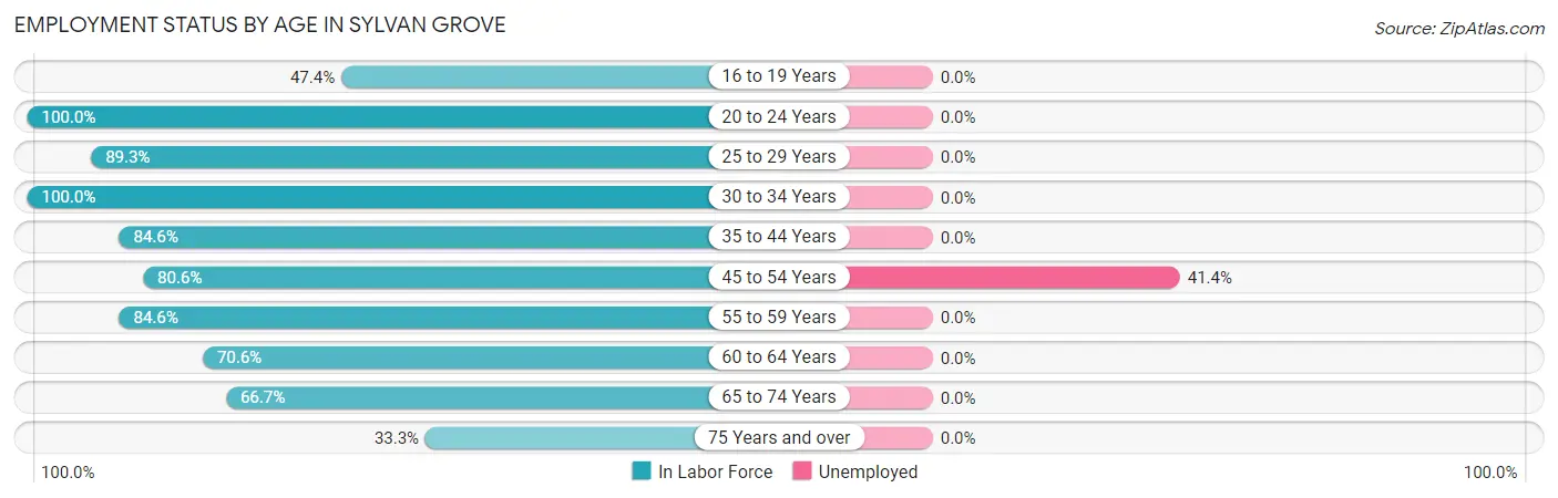 Employment Status by Age in Sylvan Grove