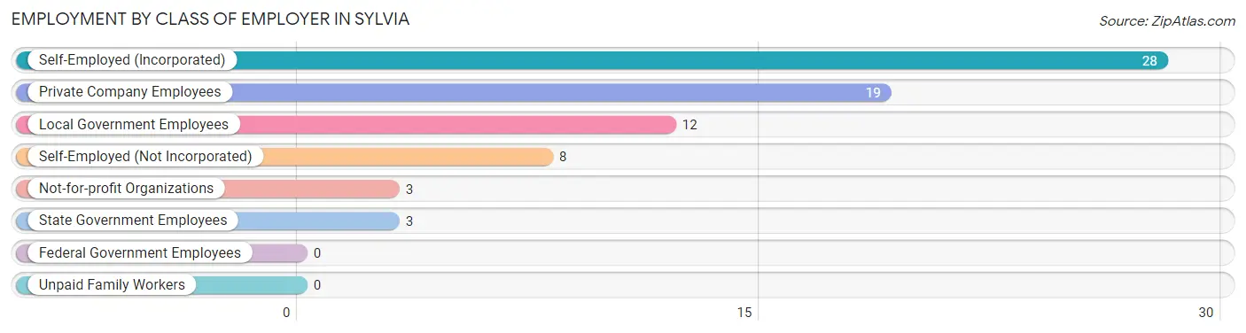 Employment by Class of Employer in Sylvia