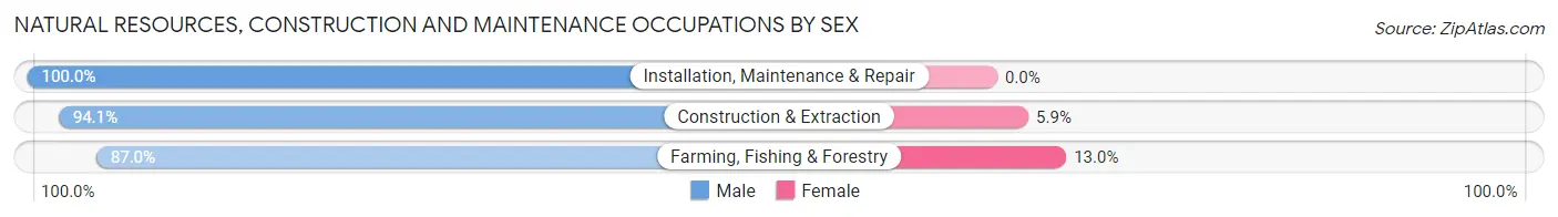 Natural Resources, Construction and Maintenance Occupations by Sex in Syracuse