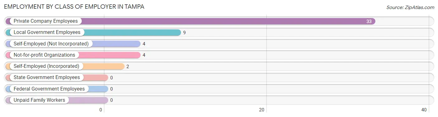 Employment by Class of Employer in Tampa