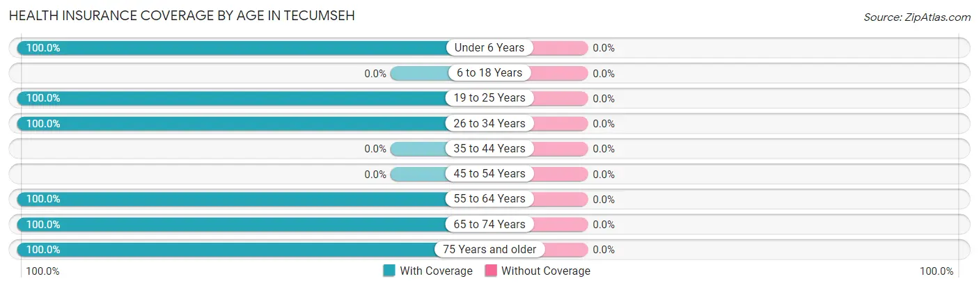 Health Insurance Coverage by Age in Tecumseh
