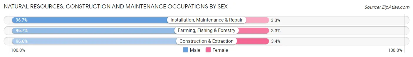 Natural Resources, Construction and Maintenance Occupations by Sex in Topeka