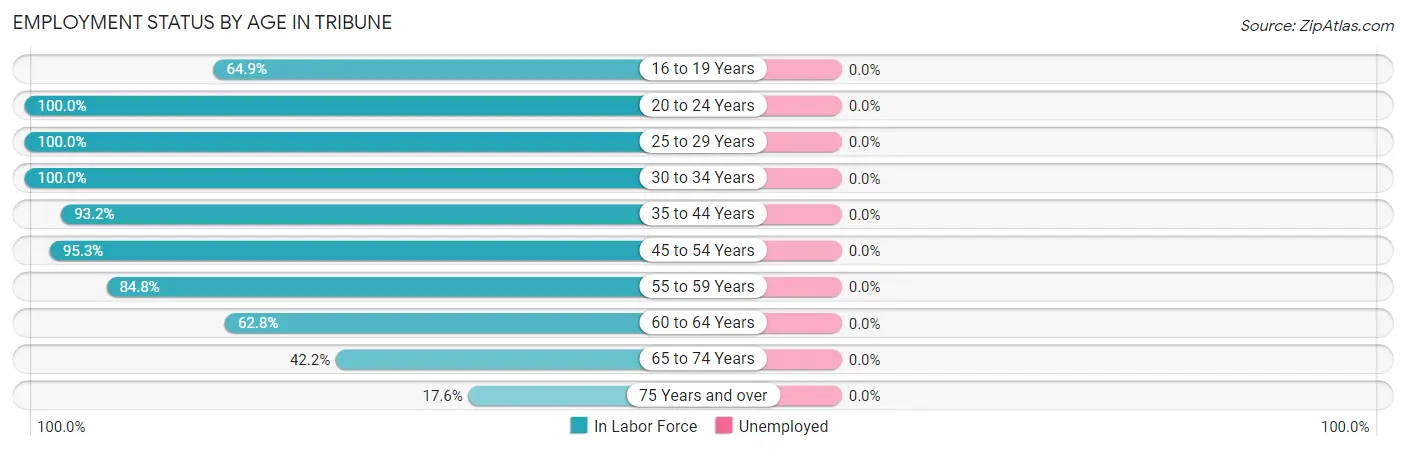 Employment Status by Age in Tribune