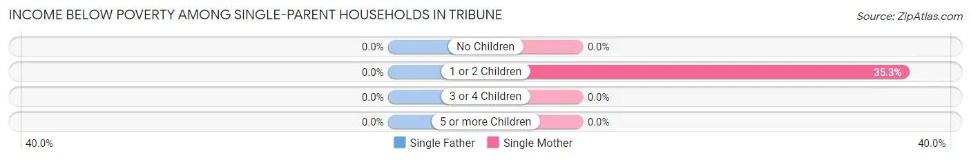 Income Below Poverty Among Single-Parent Households in Tribune