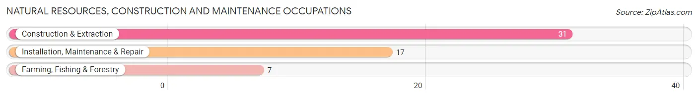 Natural Resources, Construction and Maintenance Occupations in Tribune