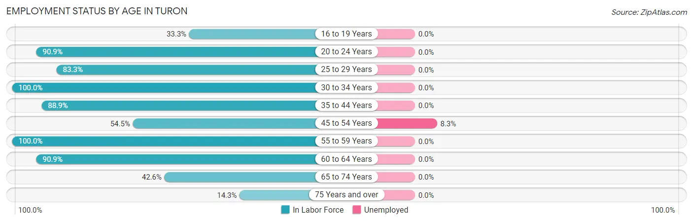 Employment Status by Age in Turon