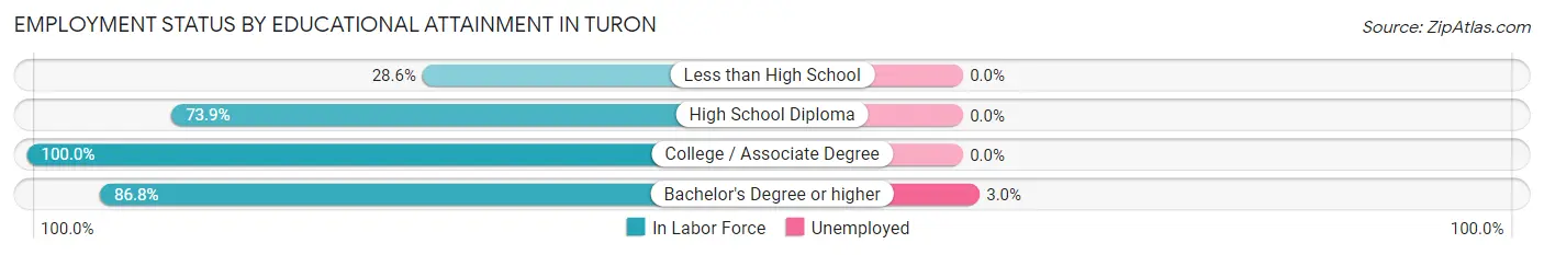 Employment Status by Educational Attainment in Turon
