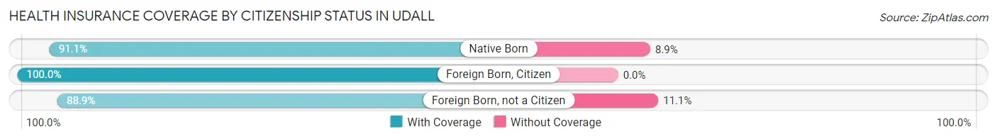 Health Insurance Coverage by Citizenship Status in Udall