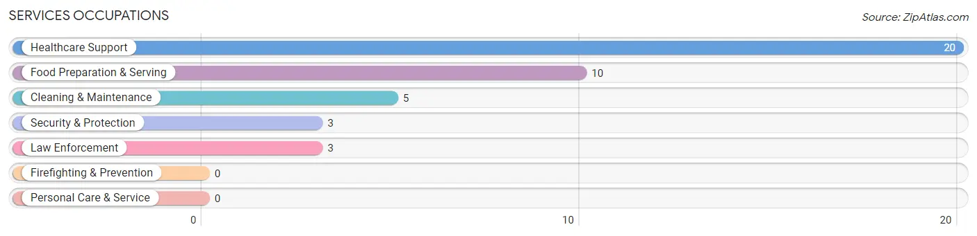 Services Occupations in Udall