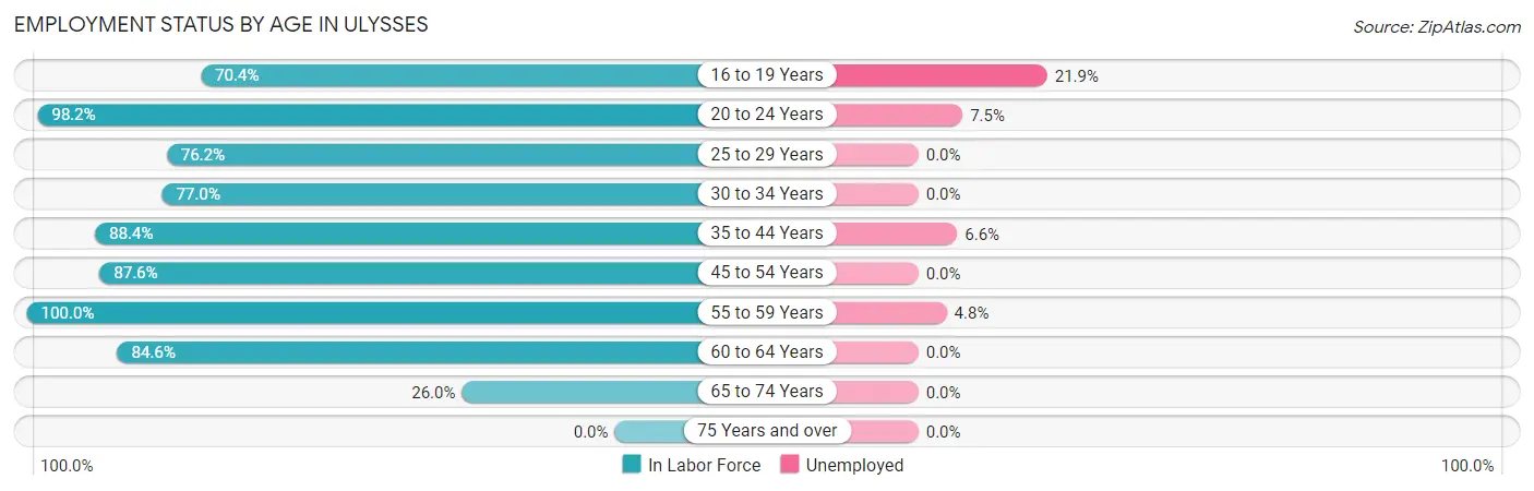 Employment Status by Age in Ulysses