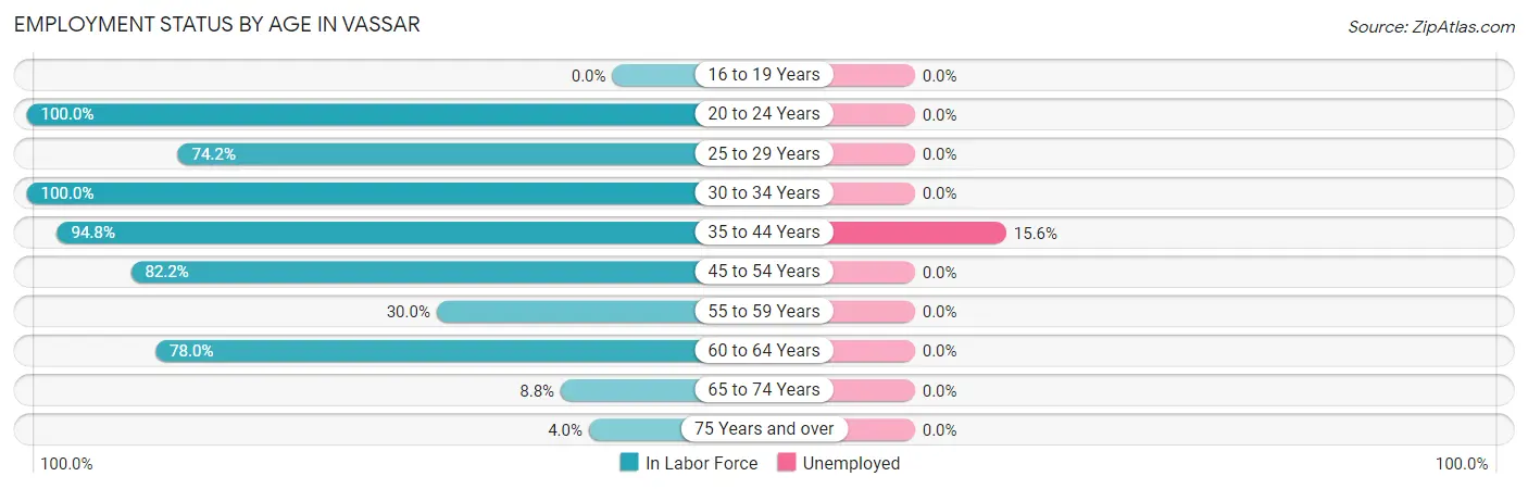 Employment Status by Age in Vassar