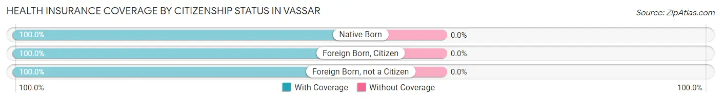 Health Insurance Coverage by Citizenship Status in Vassar