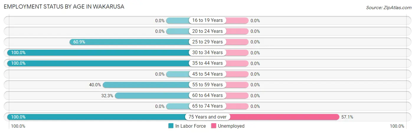 Employment Status by Age in Wakarusa