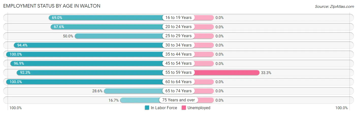 Employment Status by Age in Walton